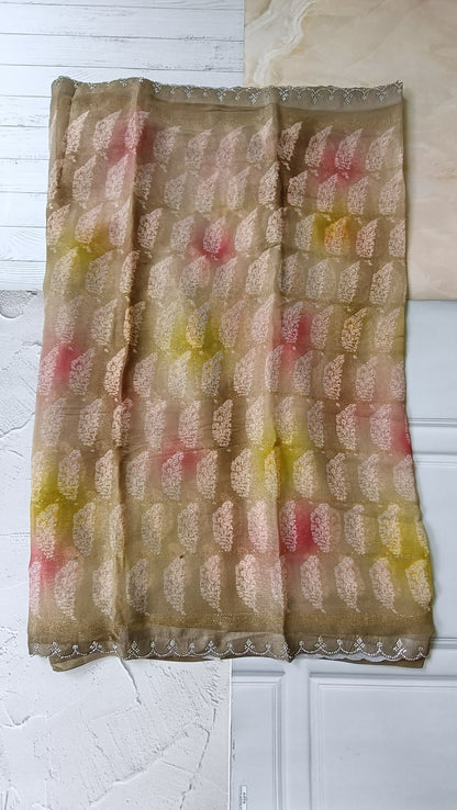 biege designer saree