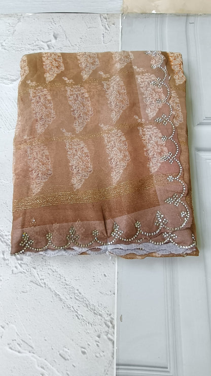 light brown designer saree